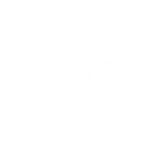 arezzo2
